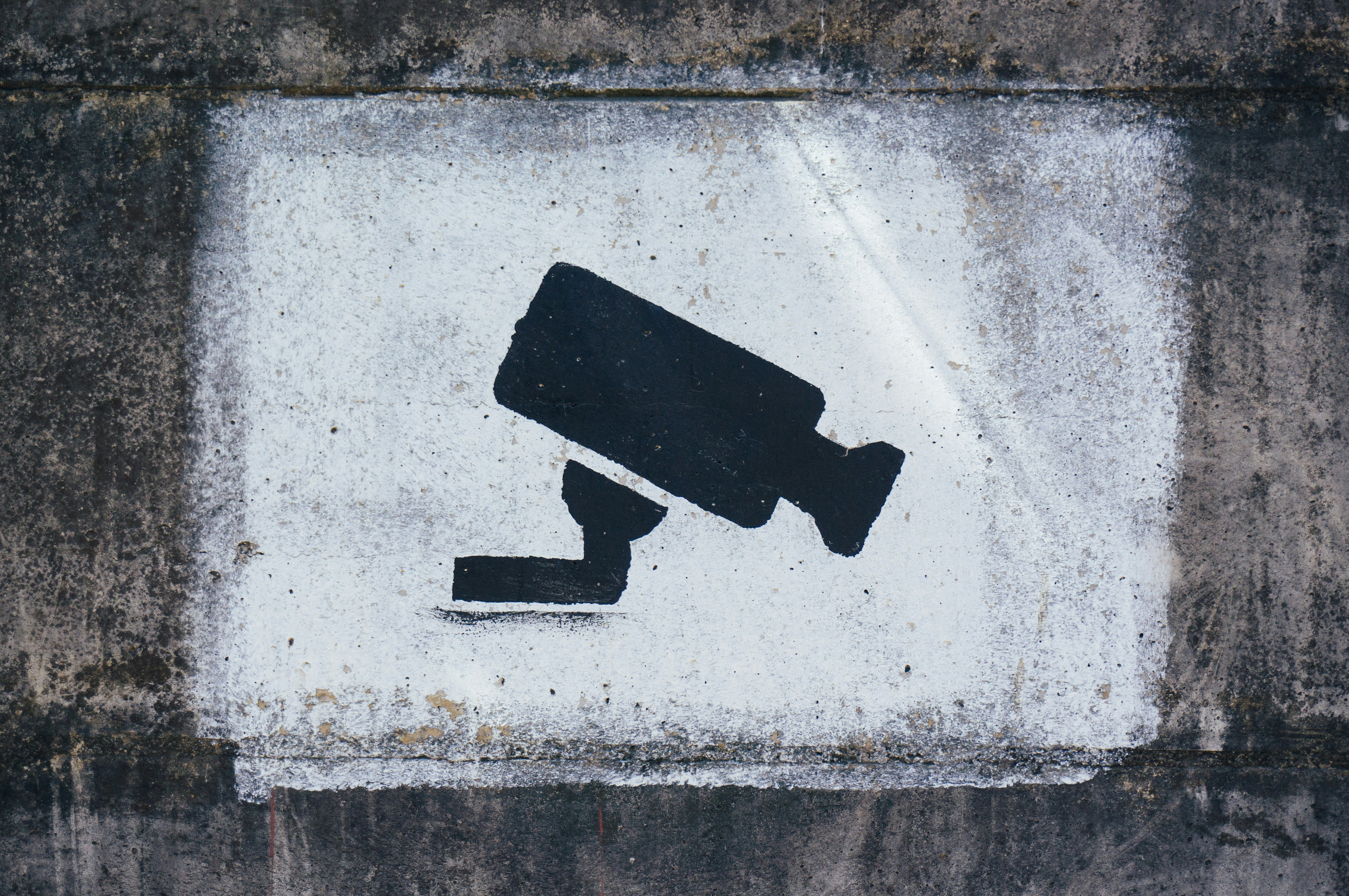 Privacy e Videosorveglianza